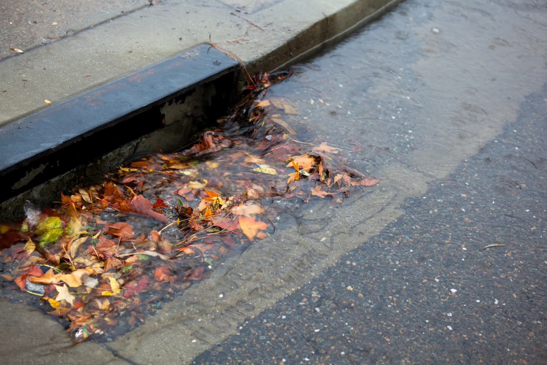 “Plumber clearing blocked stormwater pipes in Altona